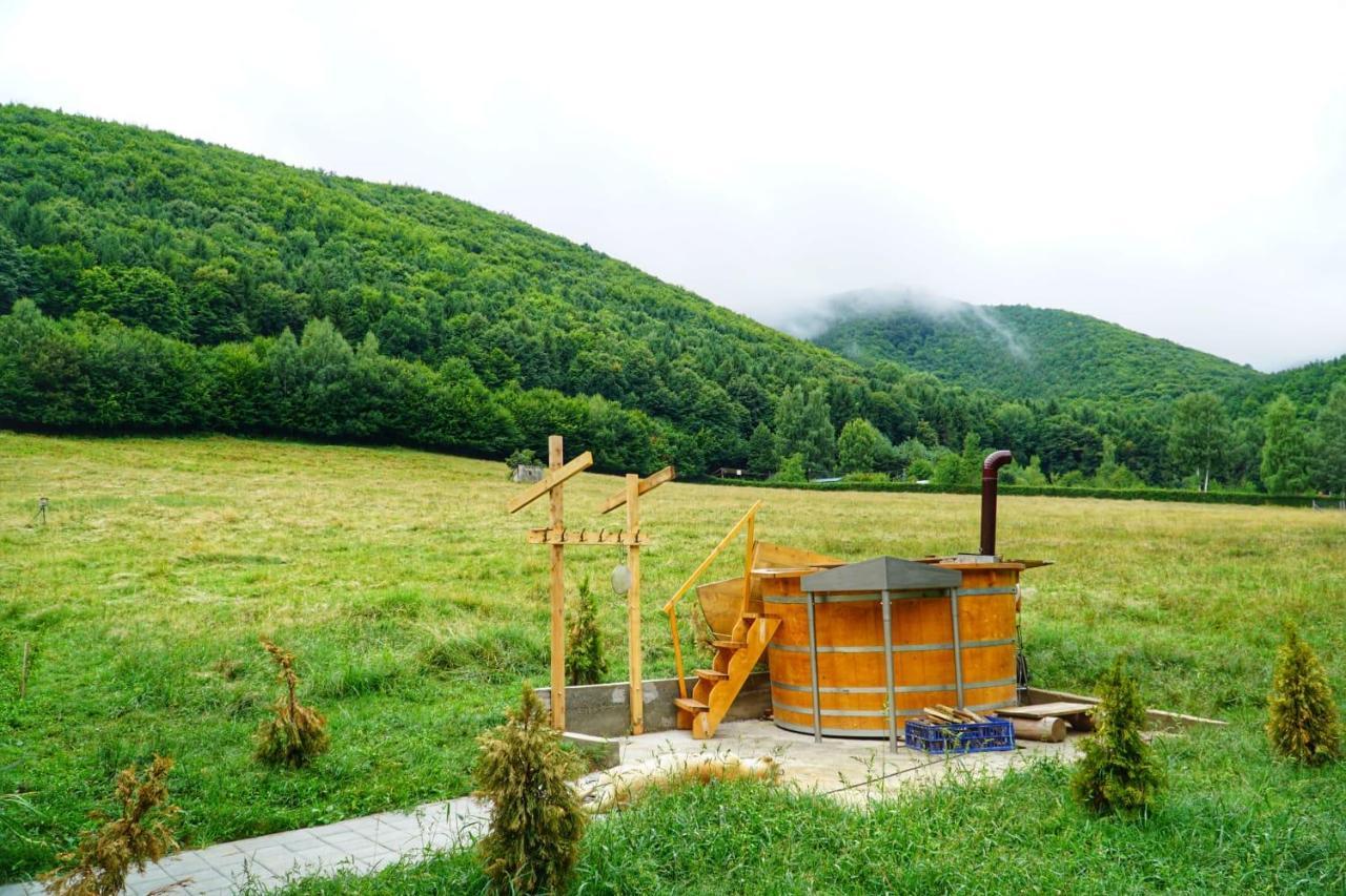 Pensiunea Natura Sadu 锡比乌 外观 照片